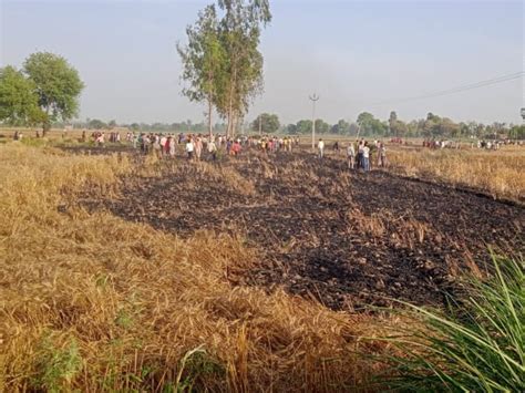 14 Bigha Wheat Crop Burnt To Ashes 11000 Accident Happened When Spark