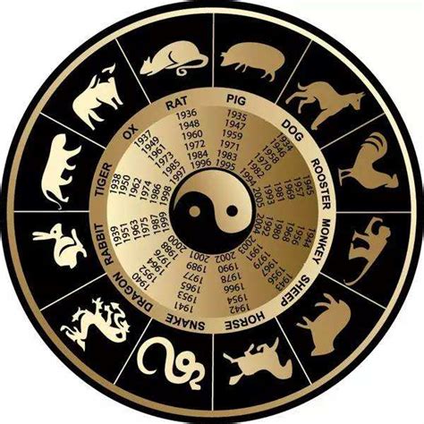 Chi Skie Znaki Zodiaku Z Chinami Za Pan Brat