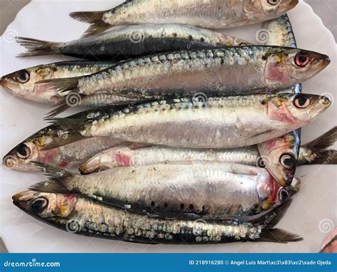 Fresh Sardines On A Plate Ready To Be Cooked Stock Photo Image Of