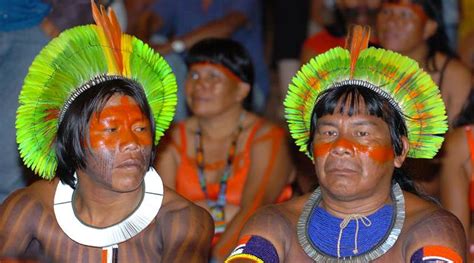 Guyana former government issued fake land titles: Amerindians | World ...