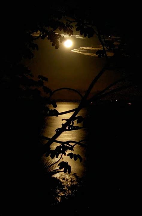 Moonshine Dark Moon Nature Night Hd Phone Wallpaper Peakpx