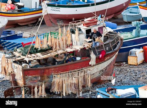 A Fisherman Is Hanging Up Cod To Dry In His Boat Port Of Camara De