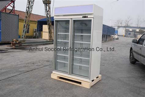 Two Glass Door Upright Showcase Freezer With R290 China Upright Freezer And Upright Showcase Price