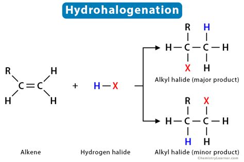 Hydrohalogenation: Definition, Examples, and Mechanism