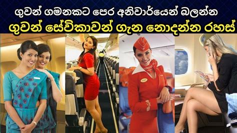 Air Hostess About Air Hostess Sri Lanka Air Hostess Air Hostess Sinhala Cabin Crew