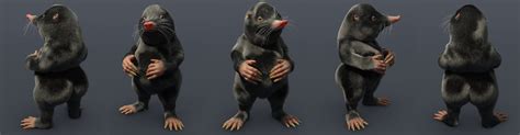 Storybook Mole For Genesis 8 1 Male Daz 3D