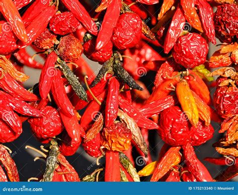 Dry Noras Hanging At Food Market Stall Royalty Free Stock Photography