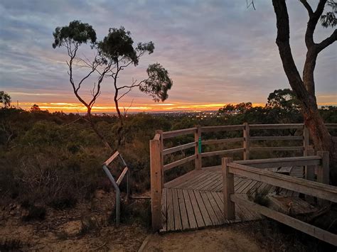 Panorama Circuit The Pines Flora Fauna Reserve Trail Navigator