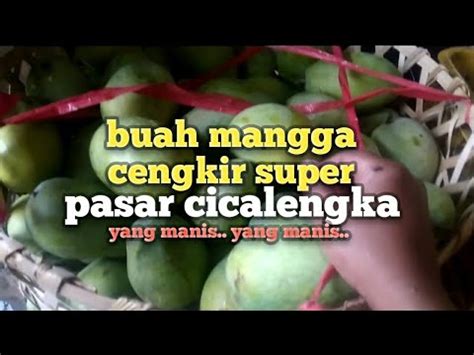 Harga Buah Mangga Cengkir Youtube