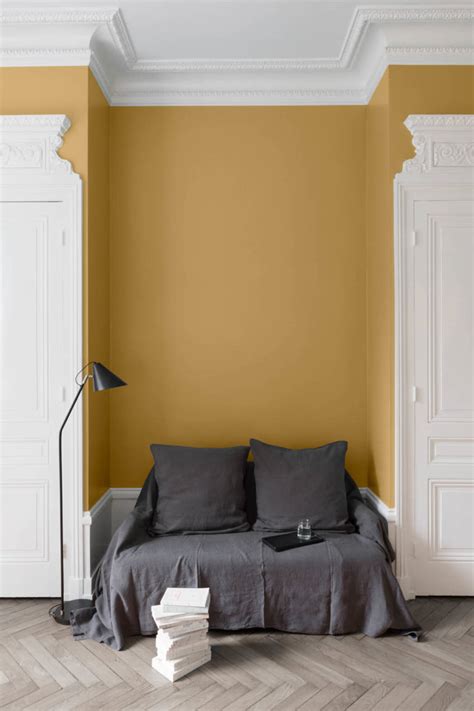 Velours De Peinture Couleur Jaune Calisson Lib Ron