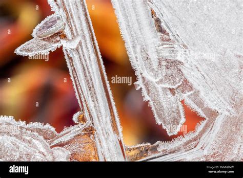 Details, shapes and structures of ice, ice crystals, Austria Stock Photo - Alamy