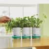 Back To The Roots Basil Cilantro Mint Grow Kit Herb Garden 3 Pack