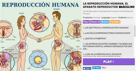 La Reproducción Humana Los Aparatos Reproductores Masculinos Y Femeninos Actiludis