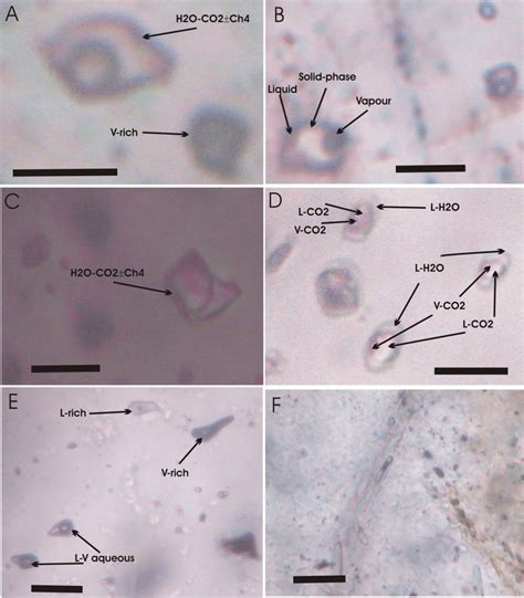 1 Photomicrographs Show Types Distribution And Description Of Fluid