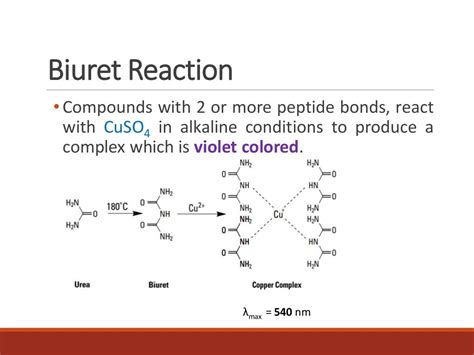 Serum Protein and Albumin-Globulin Ratio