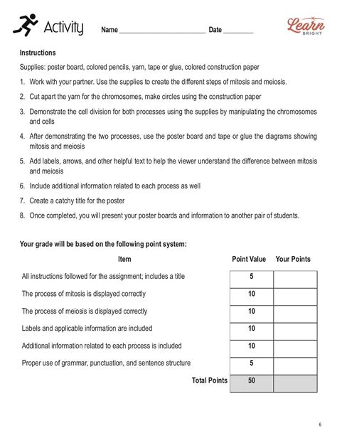 Meiosis Vs Mitosis Worksheet