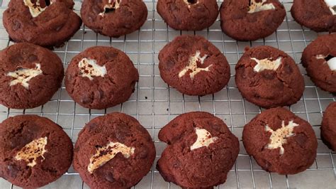 Simple Keto Double Chocolate Marshmallow Coconut Flour Cookies Janet