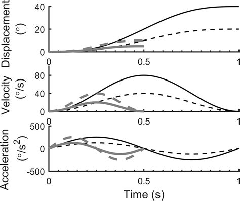 Variability In The Vestibulo Ocular Reflex And Vestibular Perception