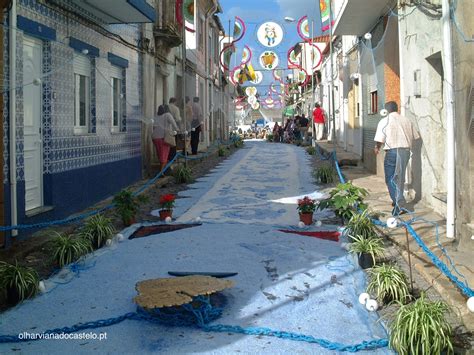 Tapetes Floridos” Na Ribeira De Viana