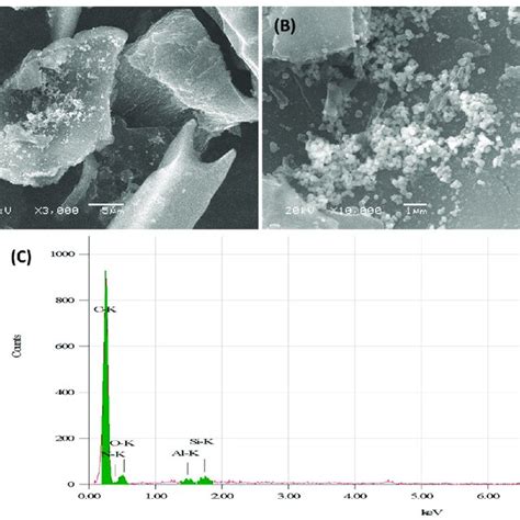 Transmission Electron Microscopy Tem Of The Alumina Nanoparticles Download Scientific Diagram