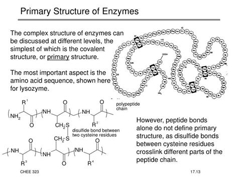 Ppt Enzymes Powerpoint Presentation Id 594577