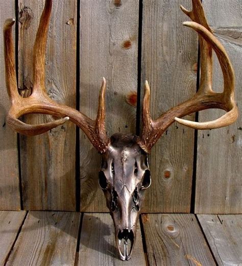 Awesome Pieces Of Antler Art Antler Art Deer Skull Art Elk Skull