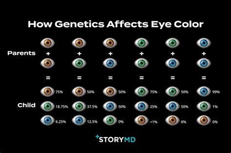 Eye Color Genetics Chart Eye Color Chart Eye Color Chart Genetics 8 Best Eye Color Chart