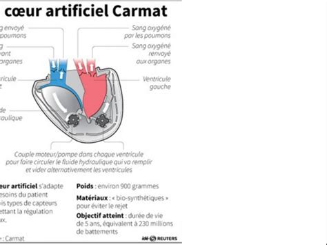 Le Patient Au Coeur Artificiel Va Bien Challenges