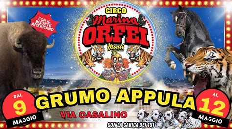 A Grumo Appula Arriva Il Circo Marina Orfei Ecco Le Date E Gli Orari