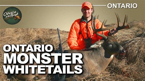 World Renowned Whitetail Deer Hunting In Ontario Canada In The Rough