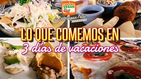 Qué Animal Tiene Los Testículos Más Grandes Saber Cómo