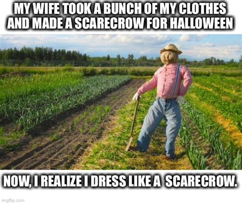 Scarecrow in field Memes - Imgflip