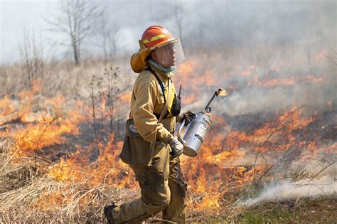 Fighting Fire with Fire - UNC Research Stories