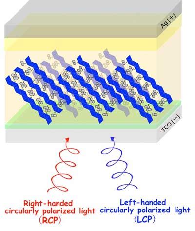 Highly Sensitive Detection Of Circularly Polarized Light Without A Filter