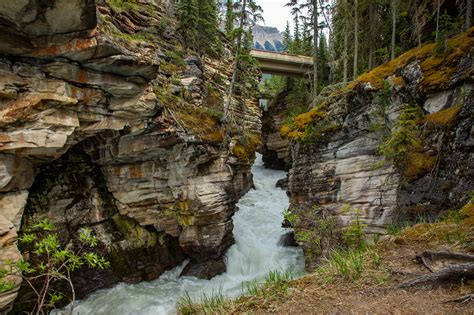 The Columbia Ice Fields And Athabasca Falls Alberta Canada