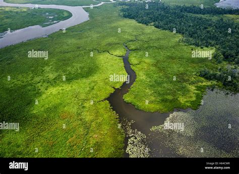 Usa Virginia Marshes Of The Chickahominy River Near The Confluence