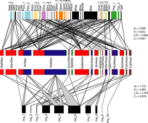 Bipartite Networks Of Quantitative Host Associations For Parasitoid