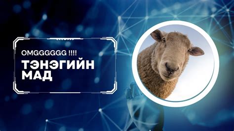 Хичээл №35 | Шатар тоглож сурцгаая | Тэнэгийн мад| - YouTube