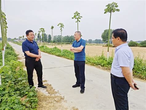 南阳市农业农村局到唐河县调研指导夏播花生种植和花生大面积单产提升行动工作动态南阳市农业农村局