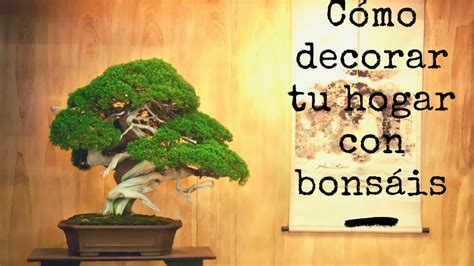 Cómo Decorar Tu Hogar Con Bonsáis El Conjunto De Maceta Y árbol