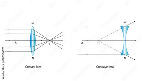 Diagram Of Concave And Convex Lenses Stock Vector Adobe Stock