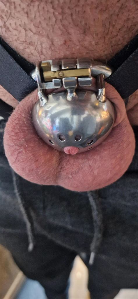 Help With Chastity Nudes Chastity NUDE PICS ORG