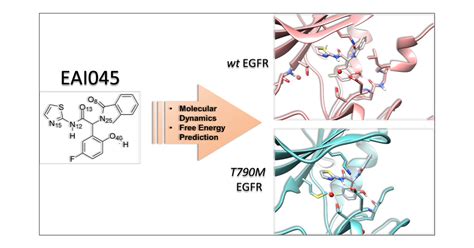 Investigating The Selectivity Of Allosteric Inhibitors For Mutant T790M