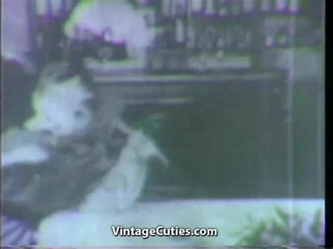 Free Vintage Mature Orgy Porn Videos XHamster