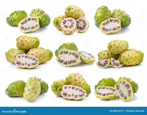 Exotic Fruit Noni Fruits Stock Image Image Of Natural 69818757