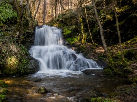 Waterfalls Beside Trees During Daytime Hd Wallpaper Wallpaper Flare