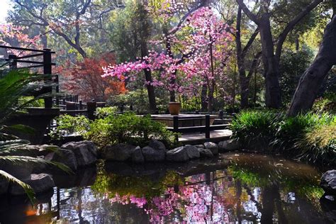 Tranquil Reflections In The Garden Photograph By Lynn Bauer Fine Art