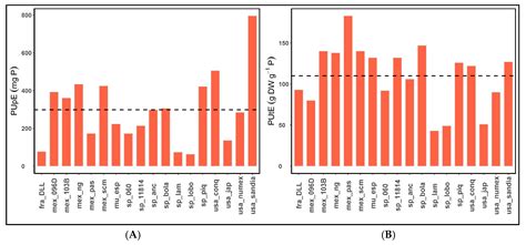 Agronomy Free Full Text Main Root Adaptations In Pepper Germplasm