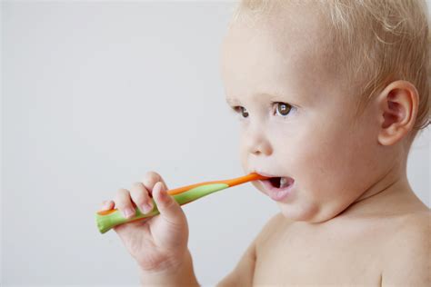 When Do You Start Brushing Babies Teeth