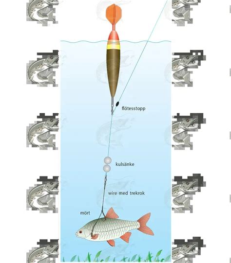 Darts Live Bait Rig For Pike Fishing